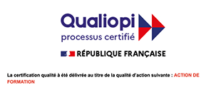 logo Phenix Influence